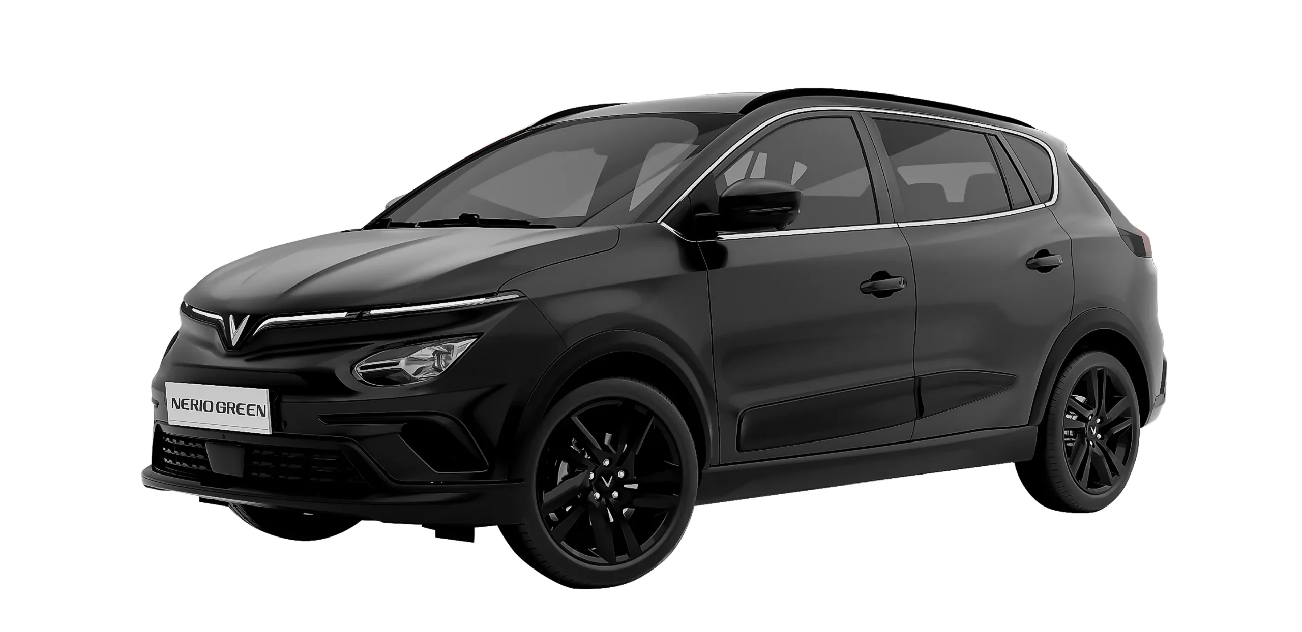 Nerio Green - Ảnh 4